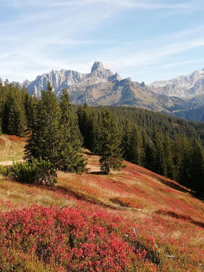 Ferienhaus Sonnberg Hüttau Esterno foto