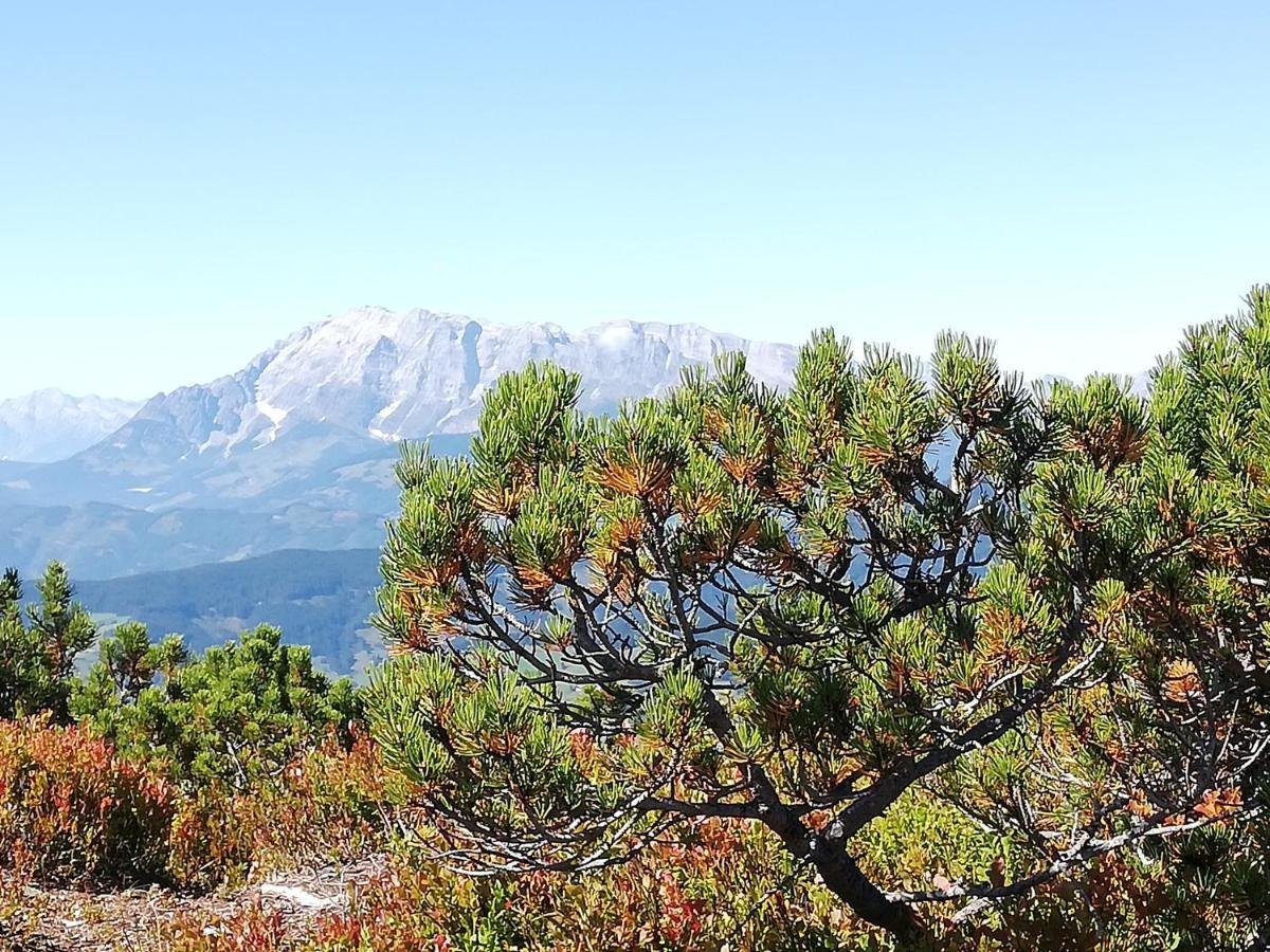 Ferienhaus Sonnberg Hüttau Esterno foto